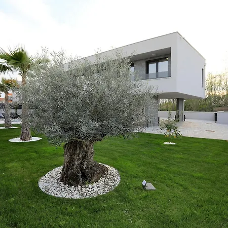 Vila Luxury 034 With Heated Pool Zaton (Zadar)